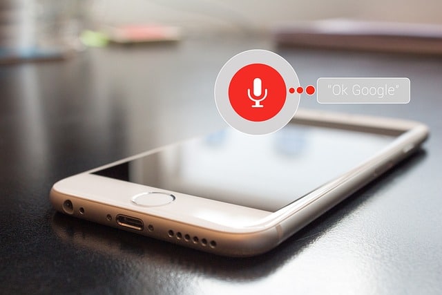 Enhancing Voice Search Performance